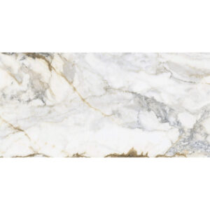 Produktbild der Wand und Bodenfliese Pamesa CR Pisa Marmoroptik 60x120